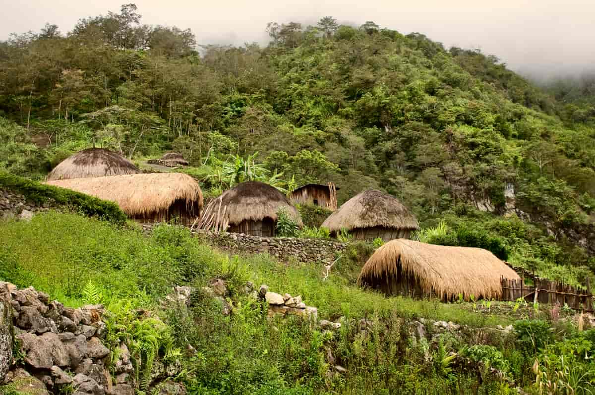 Tradisjonell hytte i Papua.