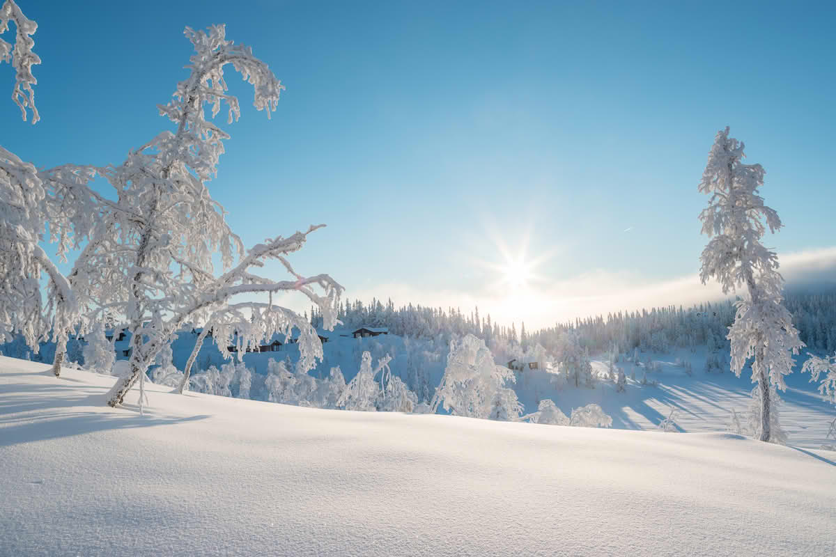 Vinter på Vegglifjell