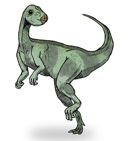 A Qantassaurus rekonstrukciója