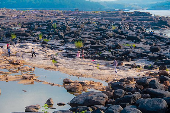 Congo river at mbudi/Kinshasa Photograph: User:Leon Bilili