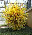 Glass sculpture by Dale Chihuly