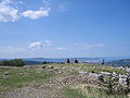 Karst landscape, in the background the gulf of Trieste