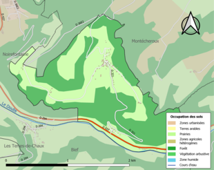 Carte en couleurs présentant l'occupation des sols.