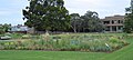 Grass collection & Jodrell laboratory