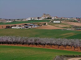 Pinarejo - Sœmeanza