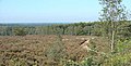 Le parc national Sallandse Heuvelrug près de Nijverdal.