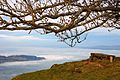 Blick von der Seebodenalp