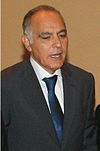 Salaheddine Mezouar