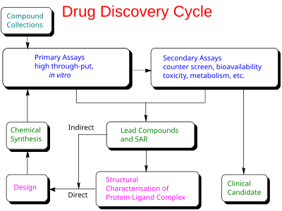 Drug discovery cycle schematic