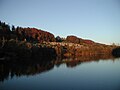 Wohlensee bei Hinterkappelen mit der Siedlung Hintere Aumatt