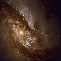 La regione centrale di NGC 1365 mostra scie di polvere.