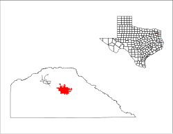 Location of Pittsburg, Texas