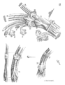 Figure 3 - Penture de la porte Sainte-Anne[153].