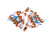 2ic5: Crystal structure of human RAC3 grown in the presence of Gpp(NH)p.