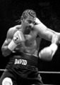 David Haye