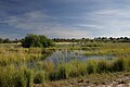 Okavango ĉe Utokota