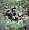 A Canadian mortar team fighting in France, 1944.