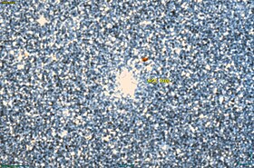 Image illustrative de l’article NGC 1986