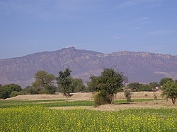 Potohar scenery with hill backdrop