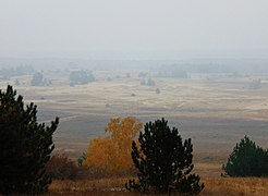 Кицівські горбисті піски Сіверського Дінця