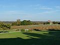 Les vignobles vus depuis l'église