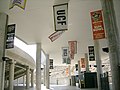 View from within the stadium