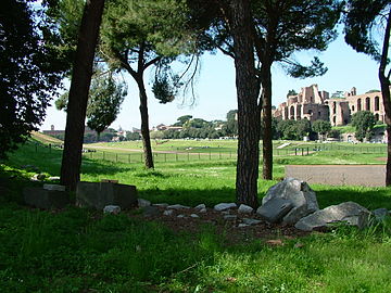 Il Circo Massimo da sud e, sullo sfondo, i resti dei palazzi imperiali sul Palatino.