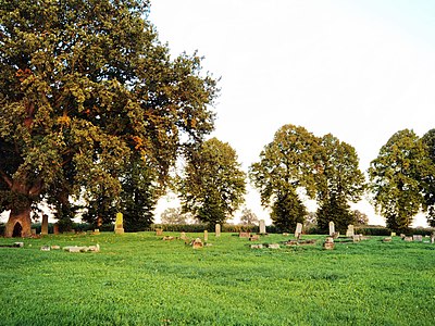 Cmentarz mennonicki w Różewie Autor: Kapi1275, Szkoła Podstawowa nr 2 w Nowym Dworze Gdańskim