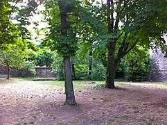 Espace de verdure dans le Hameau.