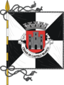 Bandeira de Distrito de Castelo Branco