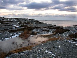 Bua in winter.jpg