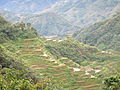 Ifugao Rice Terraces