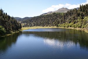 Umjerena oceanska klima sa sušnim razdobljima (Cwb), Cordillera de Mérida