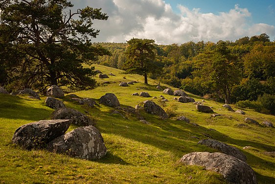 Early fall day at Degeberga backar. Photograph: Håkan Algotsson