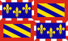 Flag of Burgundija