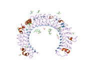 1ziw: Human Toll-like Receptor 3 extracellular domain structure