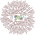 Glycogenin mit Glykogenmolekülen