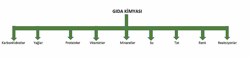 Gıda kimyası için hangi özelliklere bakılır?