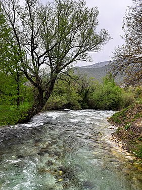 Belešnička River Photograph: Ivanna 3