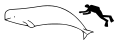 Минијатура за верзију на дан 14:49, 20. мај 2007.