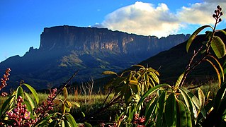 Canaima