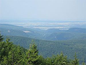 View from the Schneekopf of the Wilde Gera Viaduct (A 71)