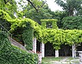 Il Giardino San-Michele