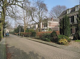 De Hoflaan met monumentale panden