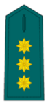 Divisa de coronel