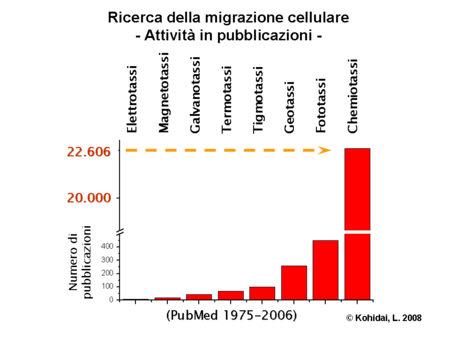 Ricerca della migrazione cellulare - Attività in pubblicazioni