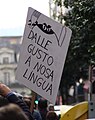 Manifestación "Queremos galego" (xaneiro de 2010).