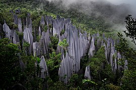 Tall, light grey stone columns protruding above a forest