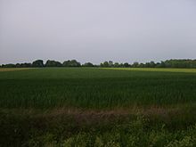 Vue sur une plaine agricole et bocage au fond.