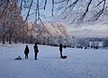 11.1.-17.1.: Winterspaß im Hagapark